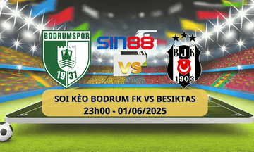 Team Bodrumspor